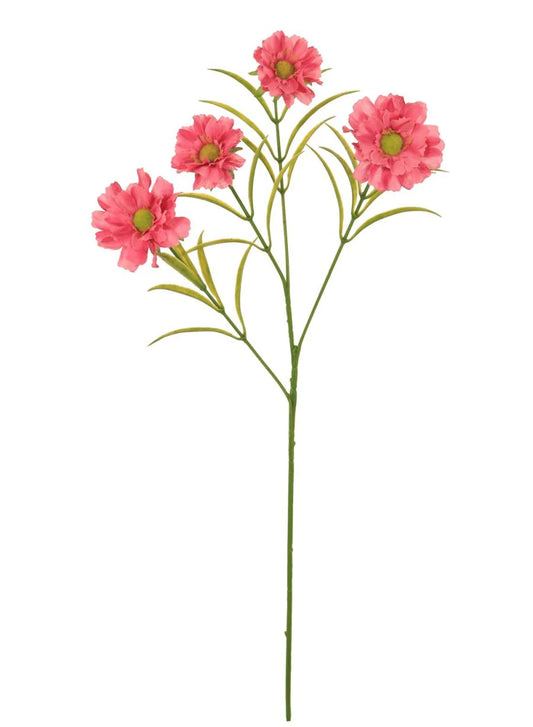Lila Daisy Spray