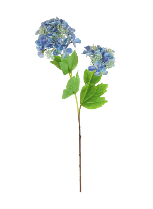 Lace Cap Hydrangea Stem - Blue
