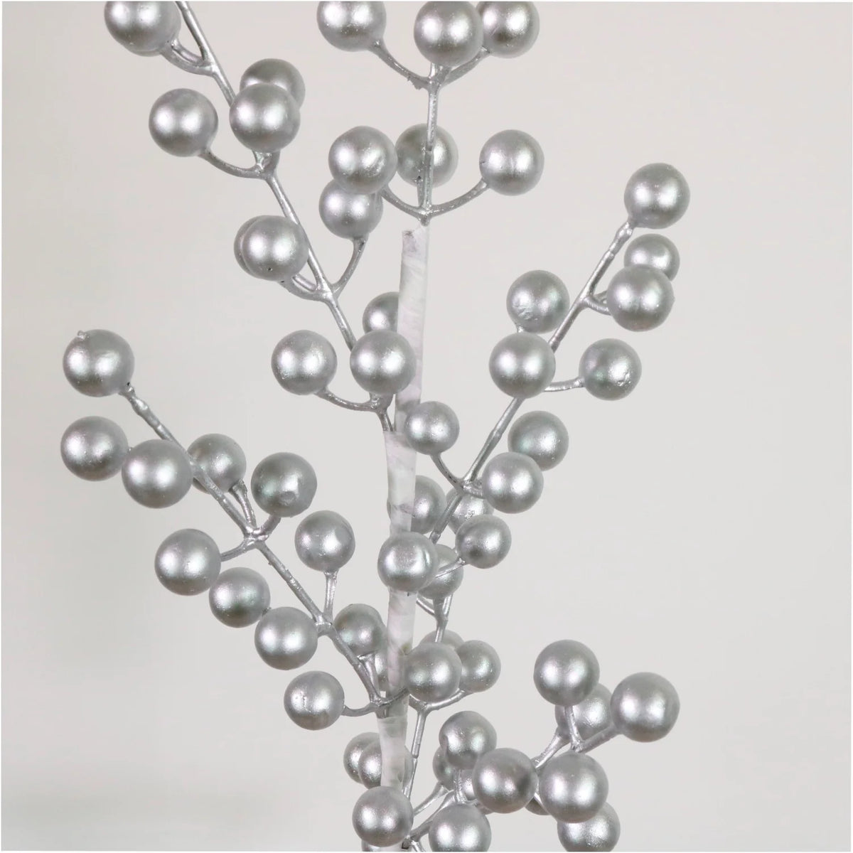 Silver Berries