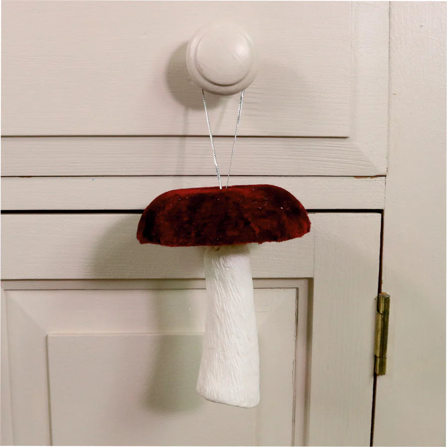 Velvet Mushrooms