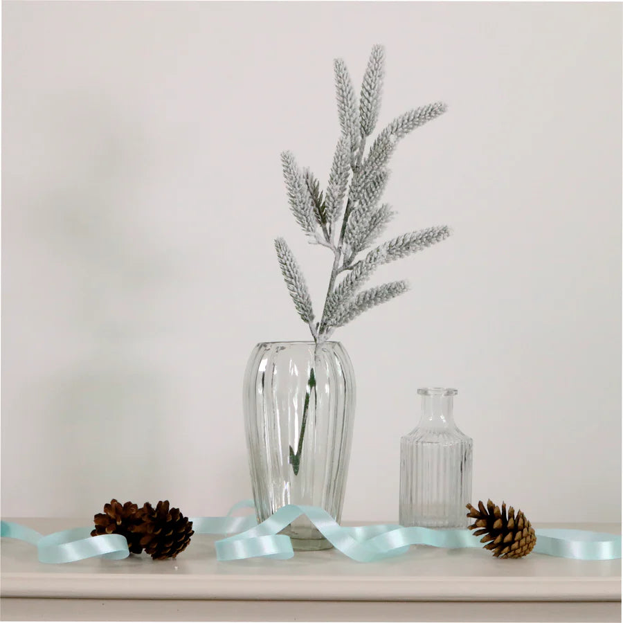 Christmas Snowcap Spruce
