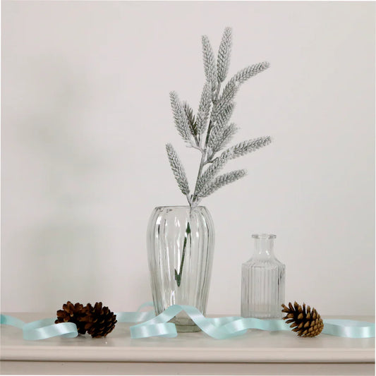 Christmas Snowcap Spruce