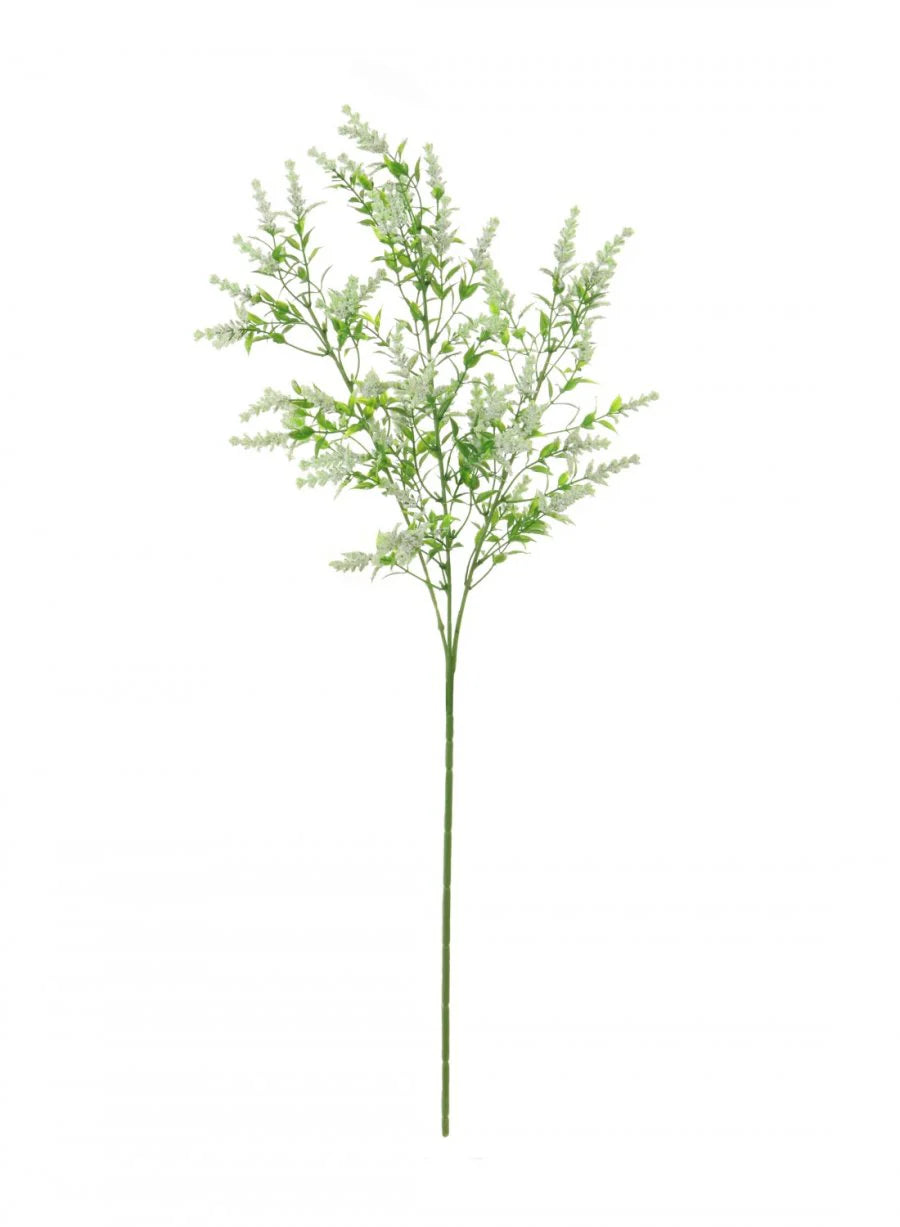 Wild Lavender - White