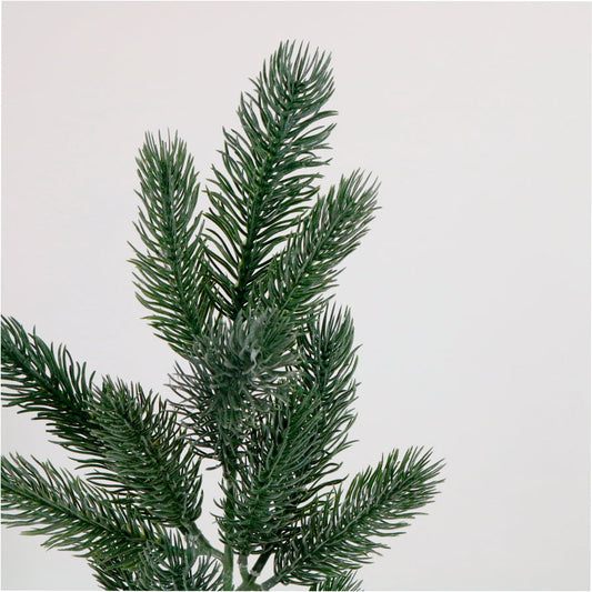 Christmas Spruce-Natural Green