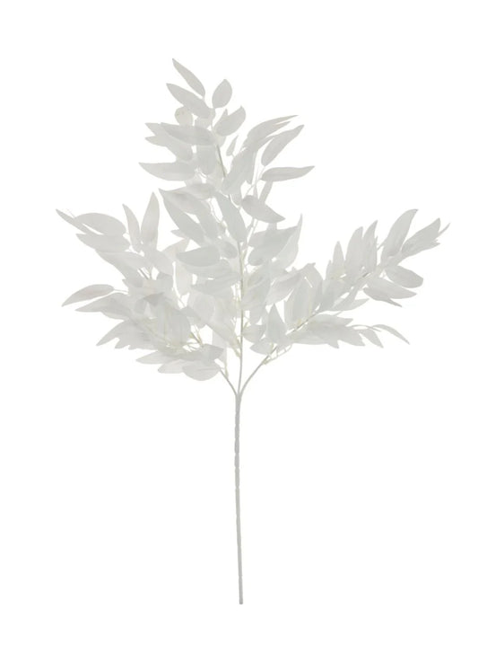 White Soft Ruscus Leaf Spray