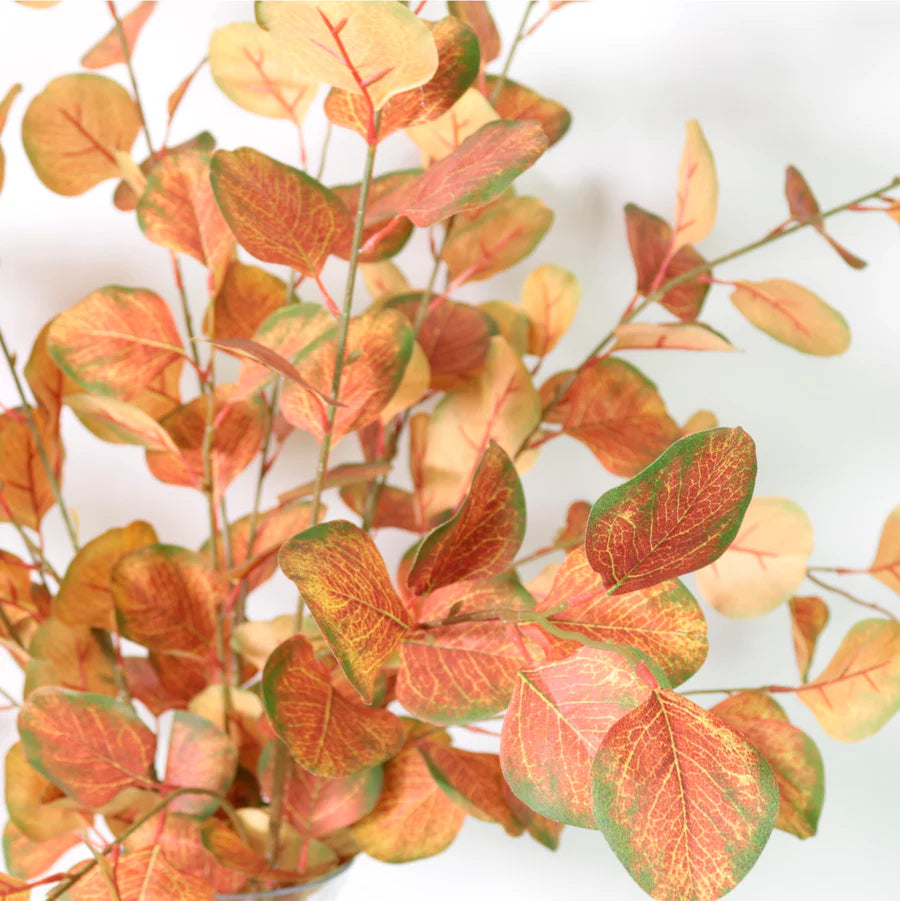Silver Dollar Eucalyptus Stem - Red/Green