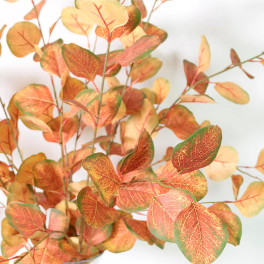 Silver Dollar Eucalyptus Stem - Red/Green