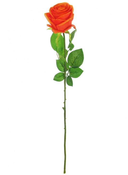 Orange Single Stem Rose