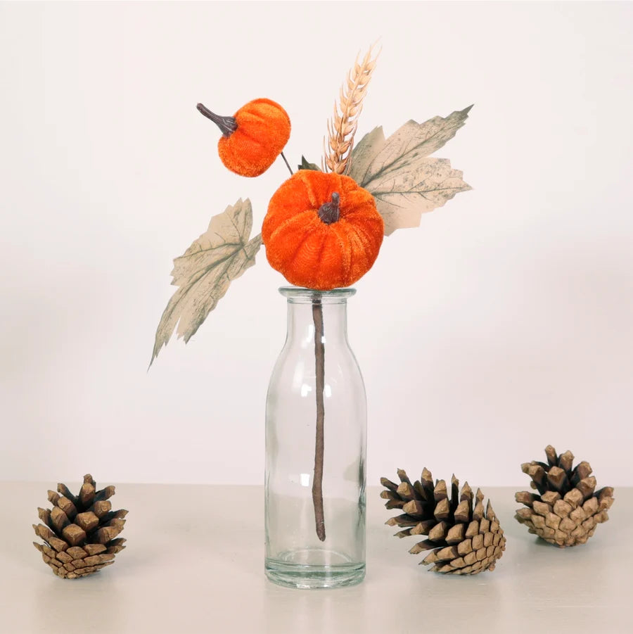 Orange Harvest Velvet Pumpkin Pic