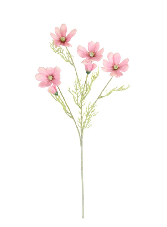 Cosmos Spray - Pink