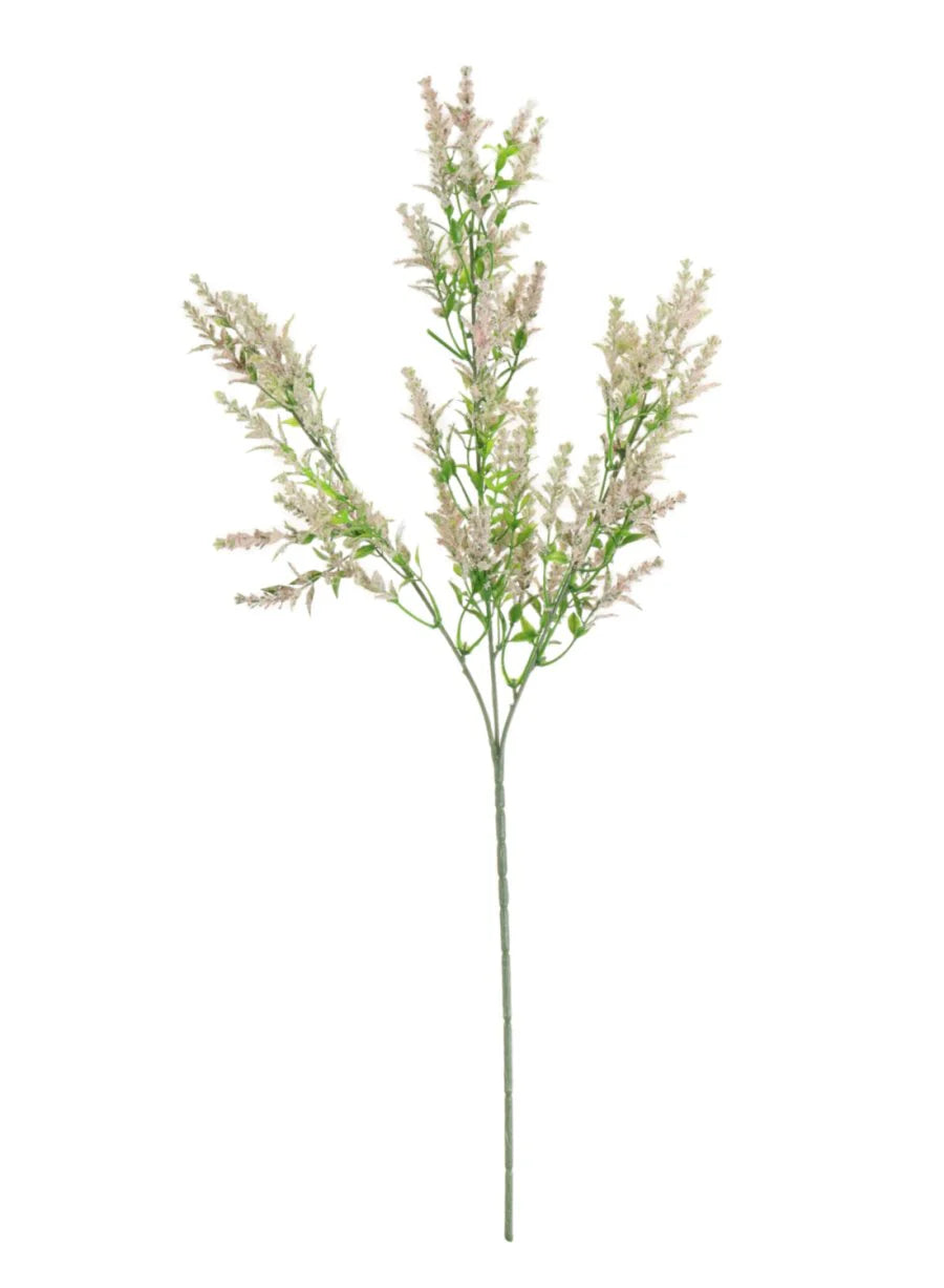 Wild Lavender - Light Pink