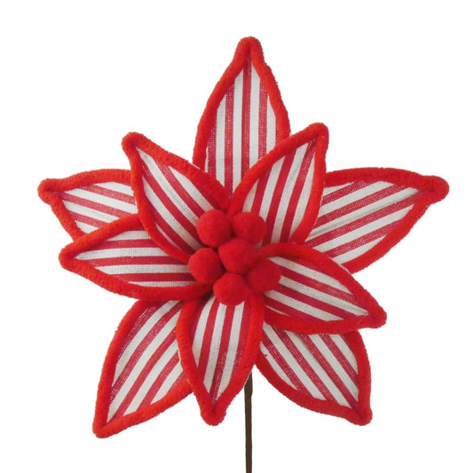 CANDY STRIPE POINSETTIA