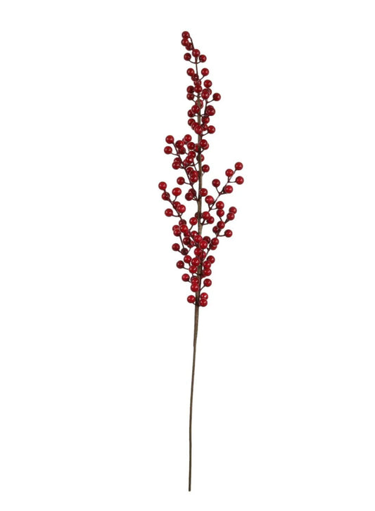 Red Berries