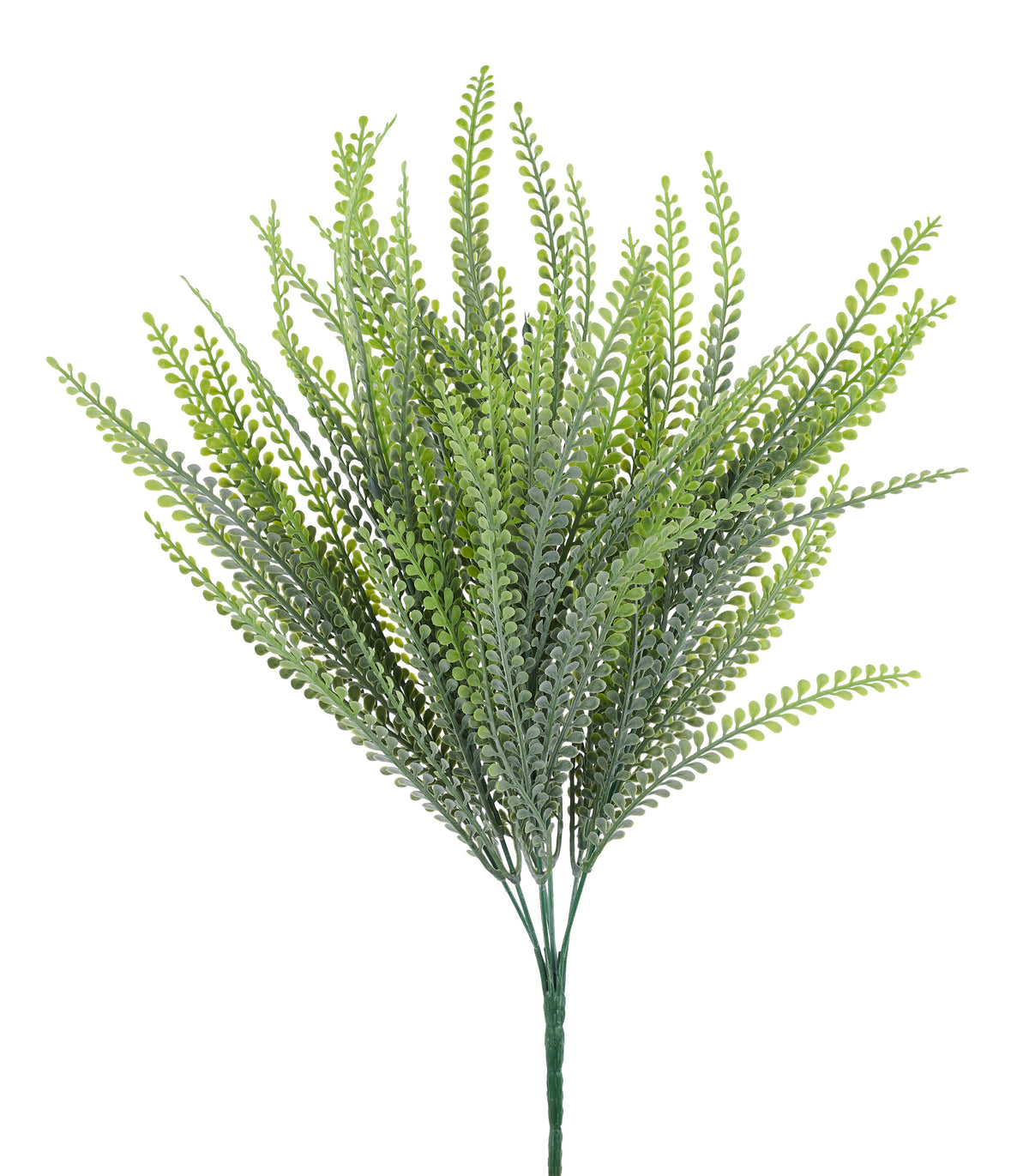 19.5"L BUTTON LEAF BUSH