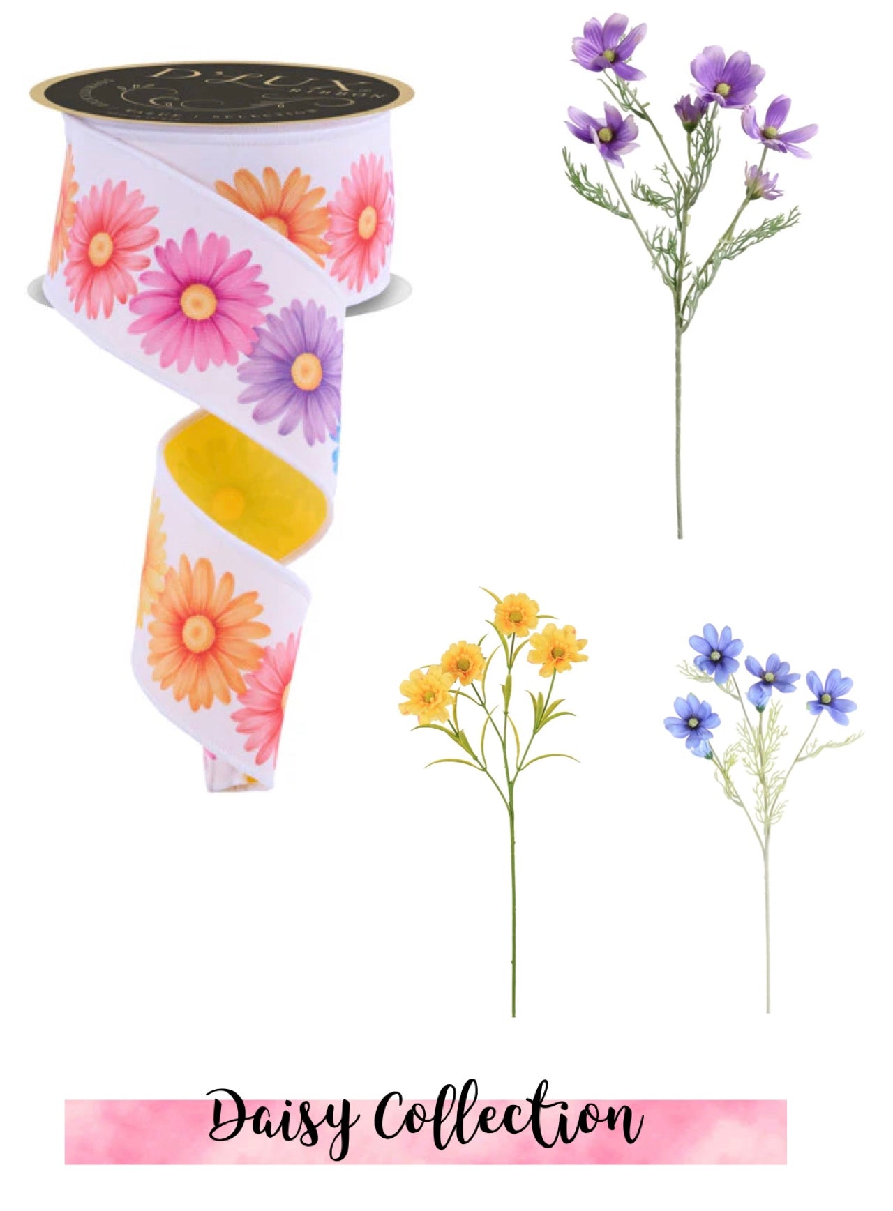 Daisy Collection