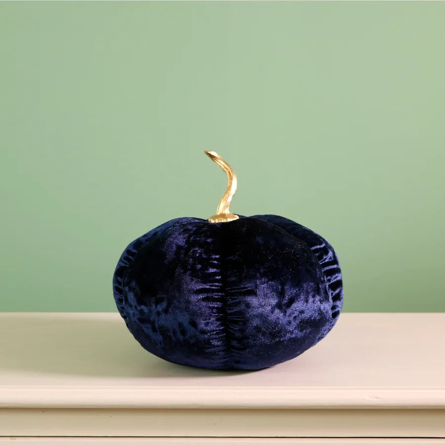 Velvet Pumpkin Navy and Gold