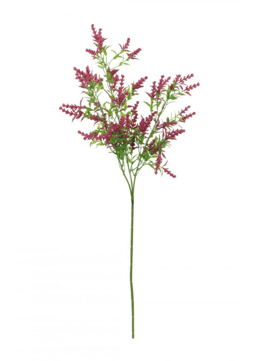 Wild lavender-Hot Pink