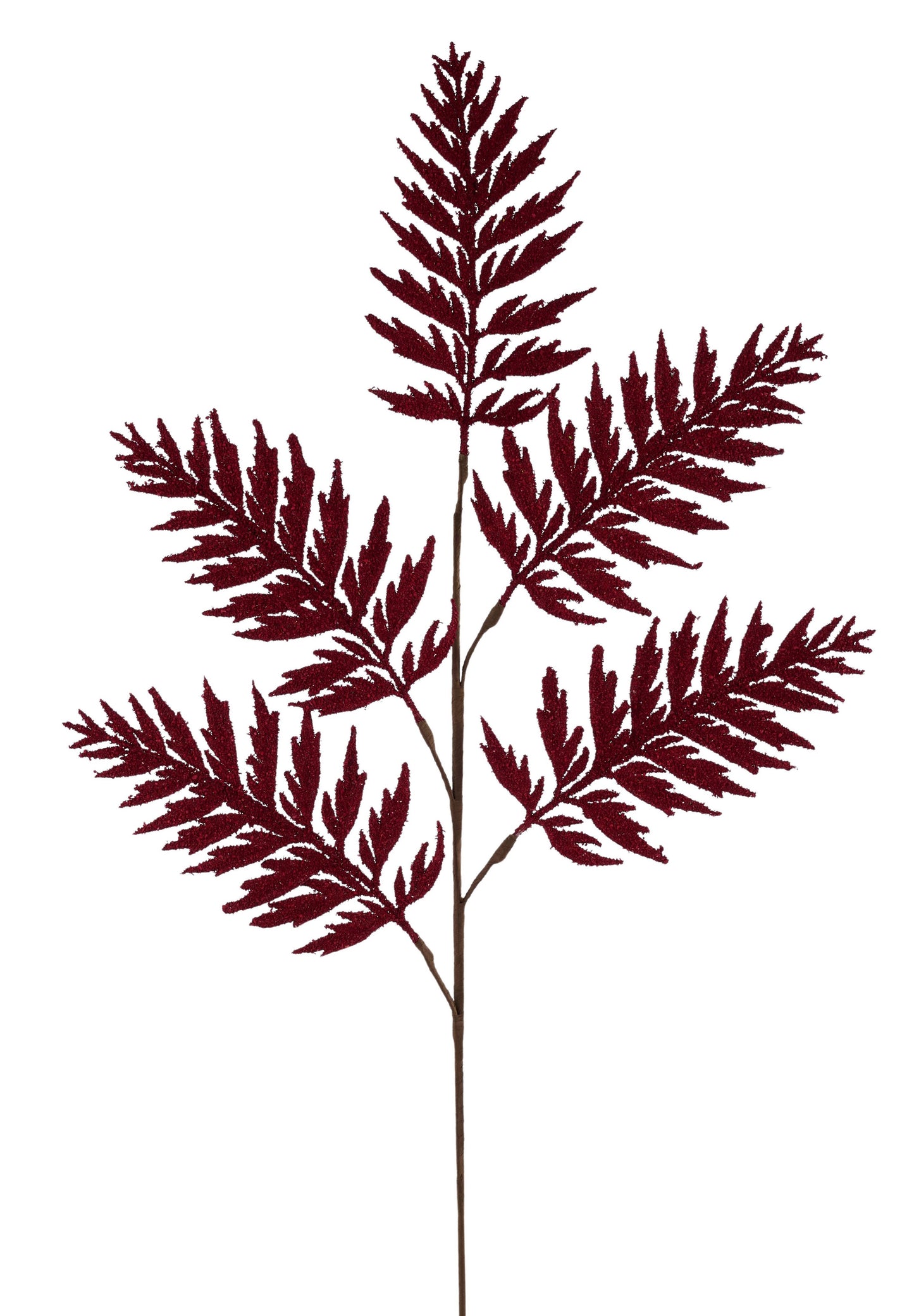 30"L Powdered  Dark Red Fern Spray