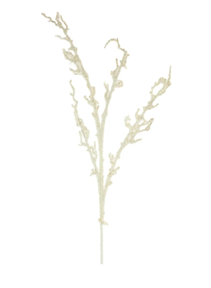 Snow Branch 148224