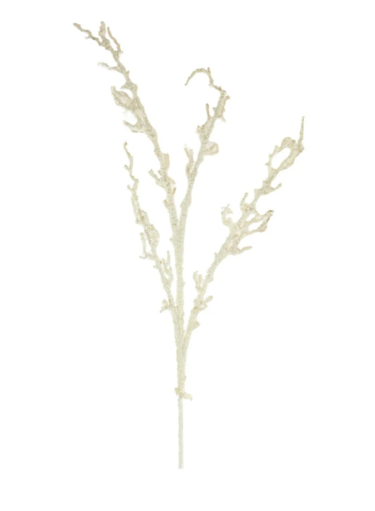 Snow Branch 148224