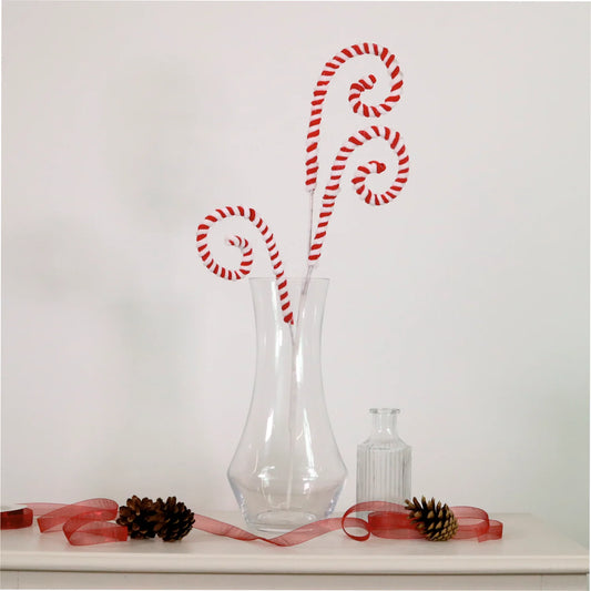 Curly Candy Cane Pic