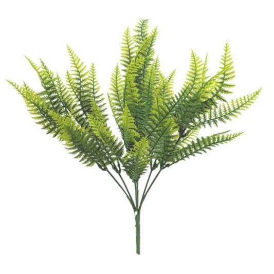 FERN BUSH TWO TONE GREEN