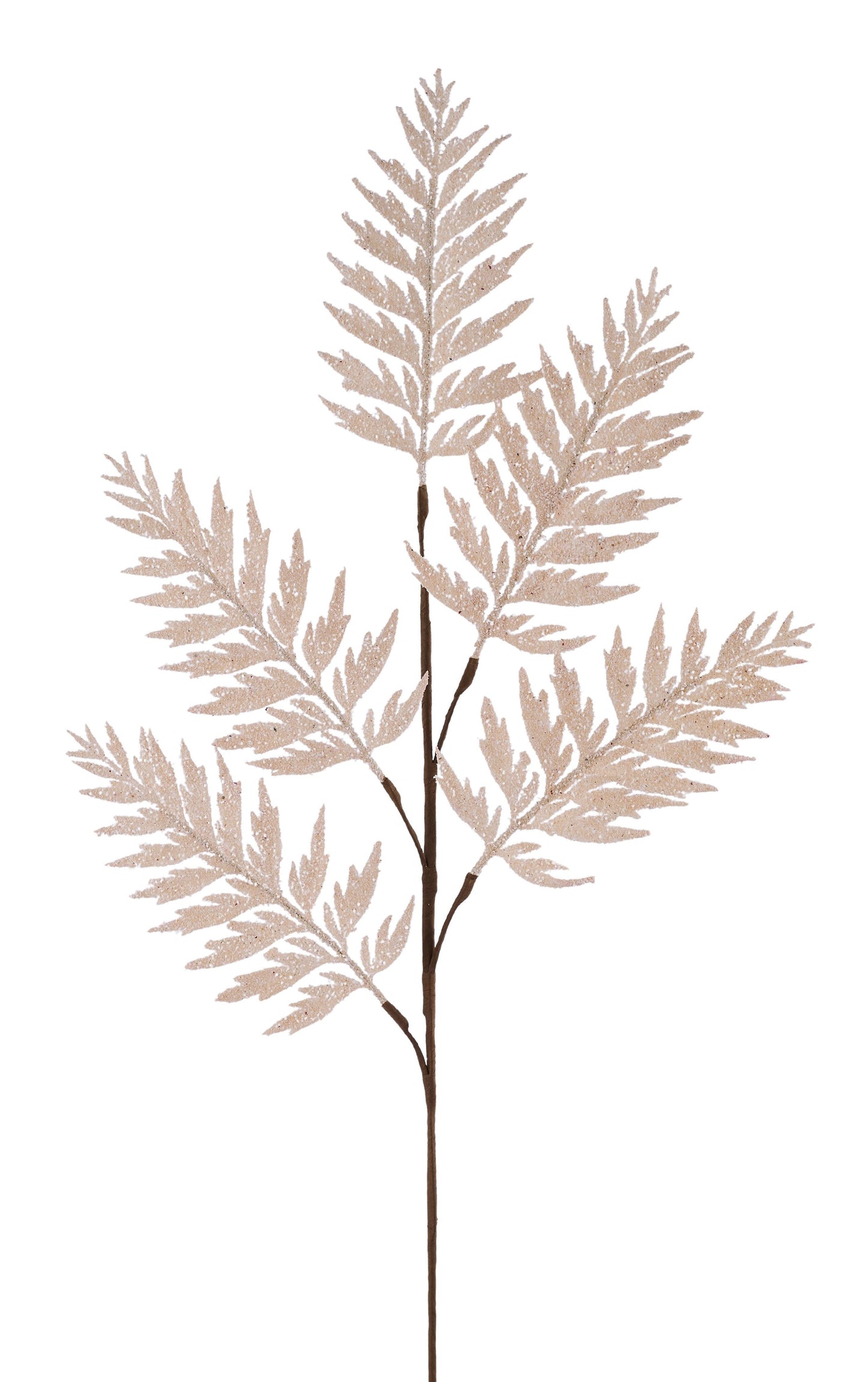 30"L Powdered Cream Fern Spray