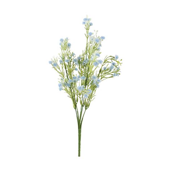 Gypsophila Bush
