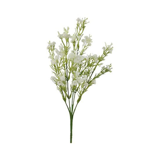 Gypsophila Bush