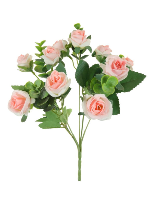 Mini Rose Bud Bush
