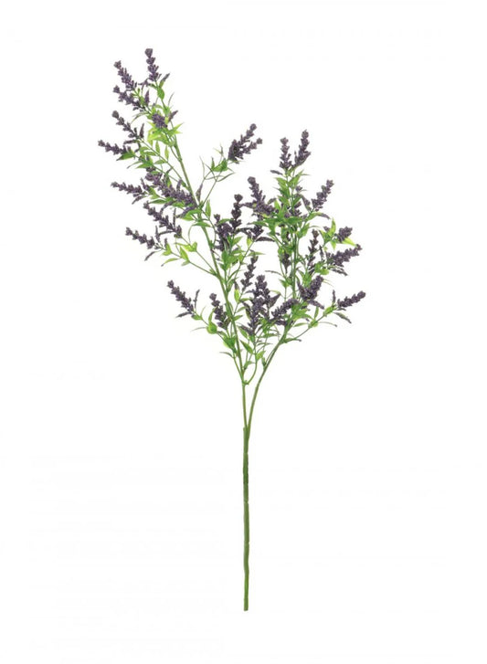 Wild Lavender - Purple