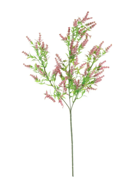 Wild Lavender